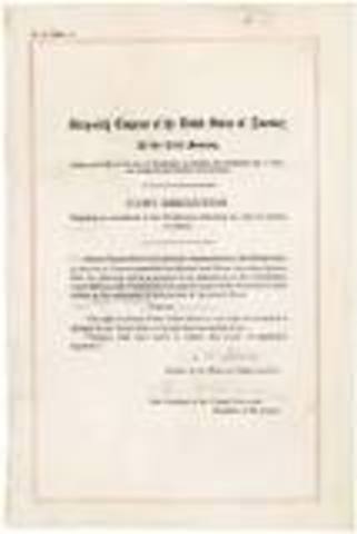 The Nineteenth Amendment