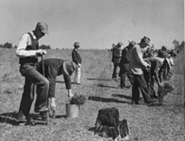 Civilian Conservation Corps