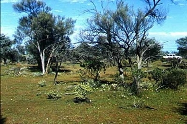 Climate, Weather, and Abiotic Factors