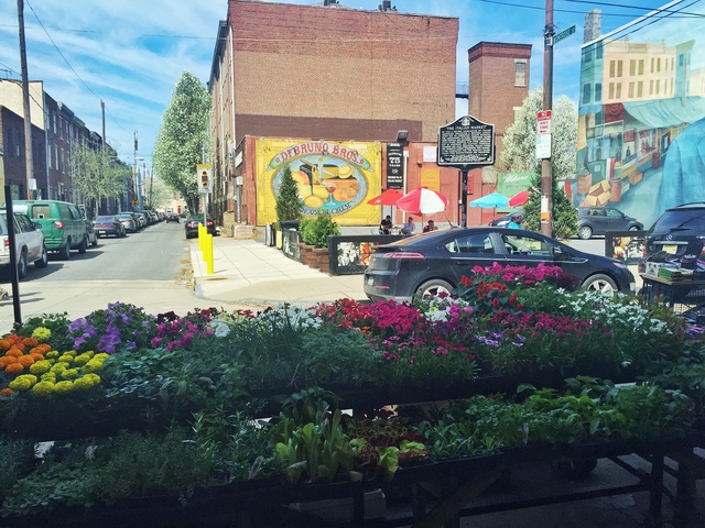 Becoming an Outdoor Market