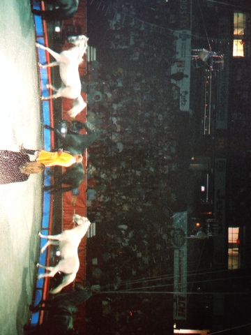 Hace diez años que me fui a mi primer circo.