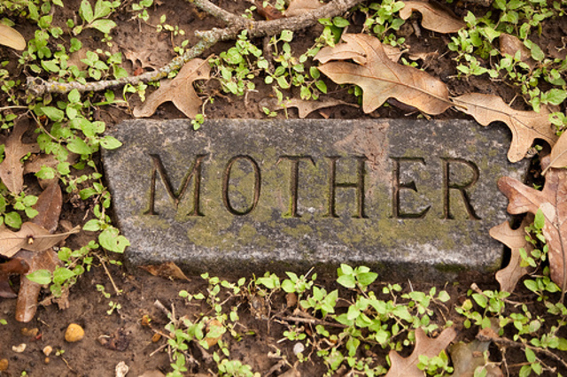 Newton’s Mother Buried
