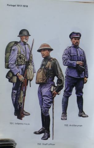 Portugal joins allied forces