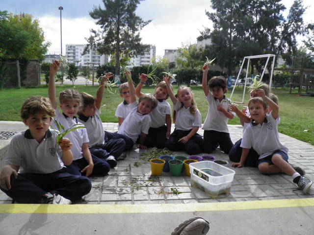 Project 5 Group Meeting