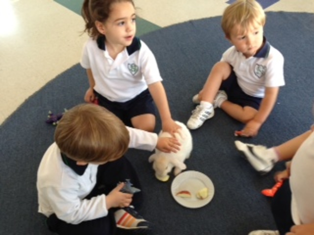 Project 5 Group meeting