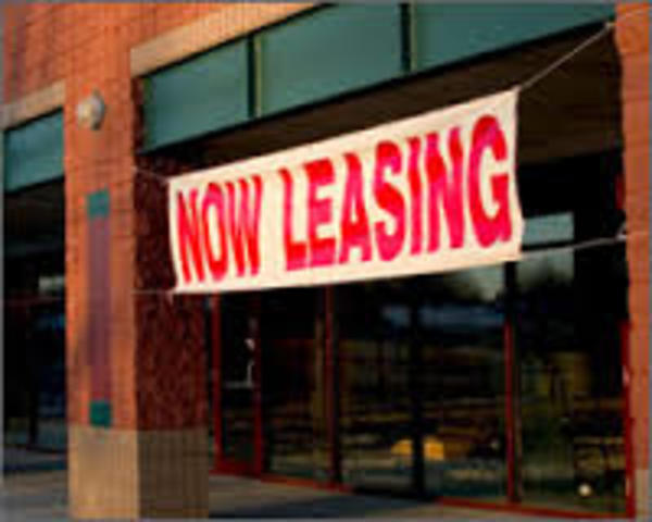 Starting my own buisness