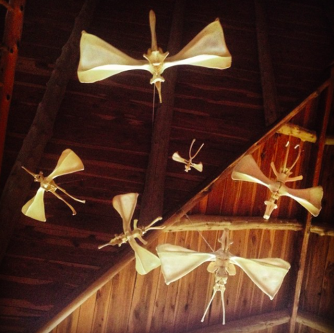 Leadership Opportunity: Visit with BeechHollow Studios