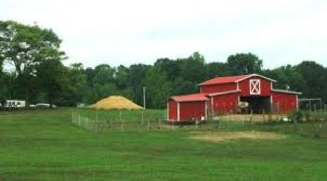 When I buy more land