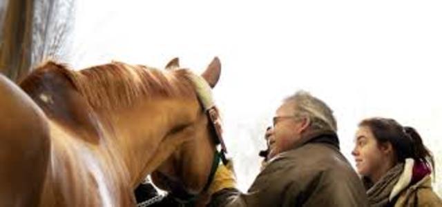 Information about first day of work