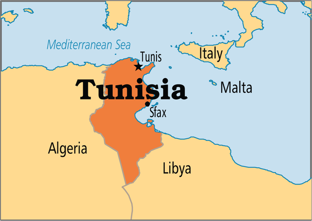 Axis forces surrender in Tunisia