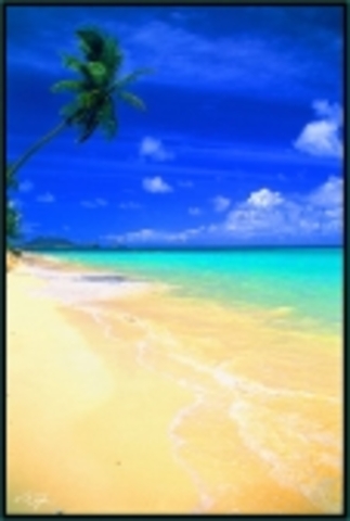 Exposition--Backround 1