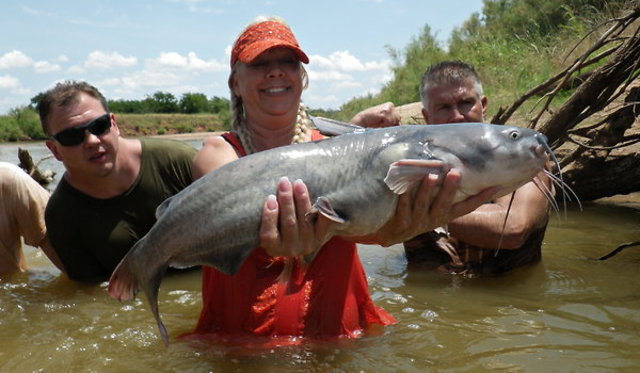 Vocalion starts "Hillbilly" series