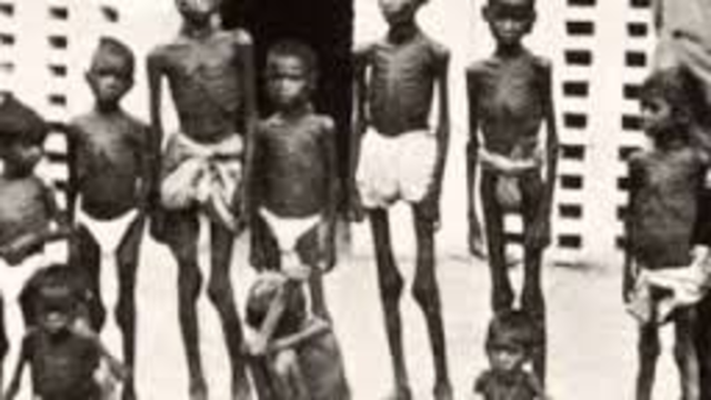 Economic Policy of the RAJ during the Depresion.