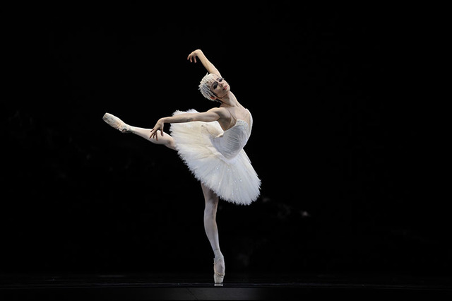 Swan Lake, composed by Pyotr Ilyich Tchaikovsky (ballet)