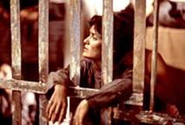 Nelson and Pedrito arrested