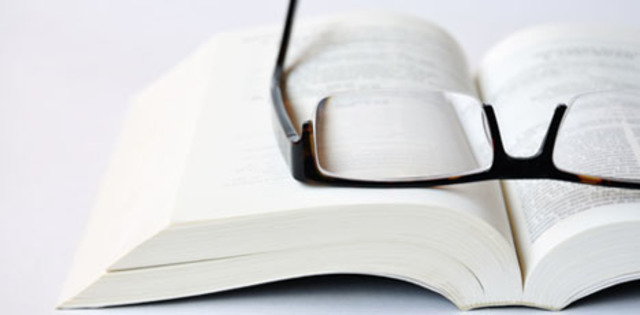 Director de investigaciones del instituto