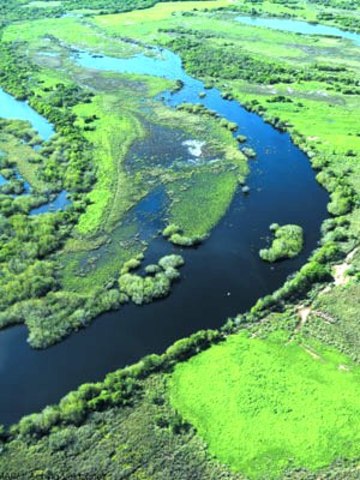 Convención Relativa a los Humedales de Importancia Internacional como Hábitat de Aves Acuáticas(Convención RAMSAR