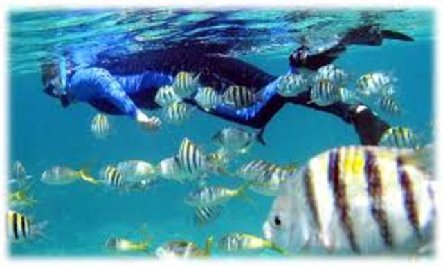 Convenio para la Protección y Desarrollo del Medio Marino en la Región del Gran Caribe