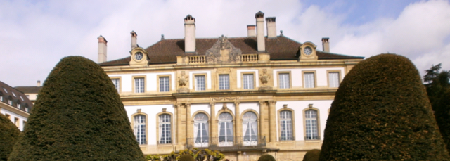 Profesor de Neuchatel