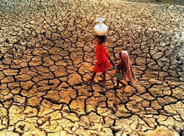 Convención Internacional de Lucha contra la Desertificación
