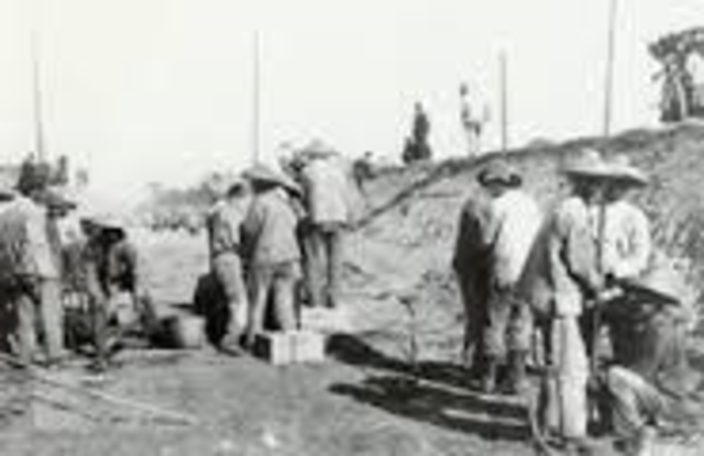 Chinese and Irish Immigration