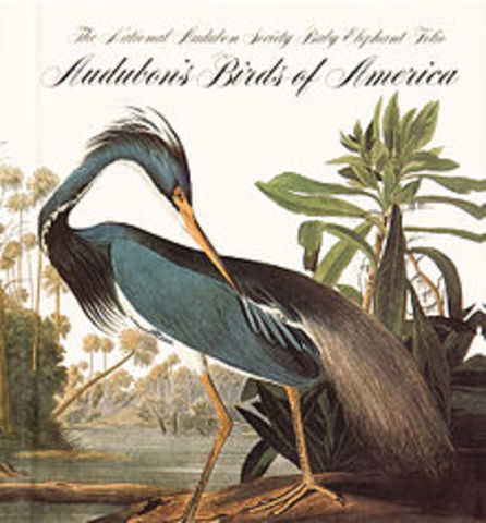 John J. Audubon's "Birds of America"