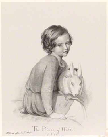 Prince Albert's "Prince Edward VII"