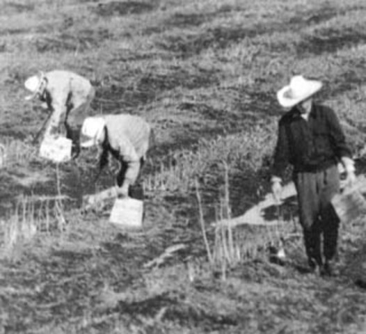 Bracero Program Repealed