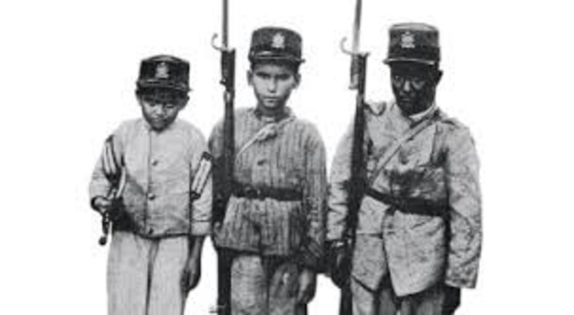 Plan Zerda de instrucción ley 89