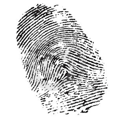 Criação da Impressão Digital