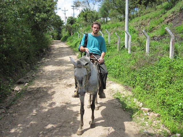 Traveled to South America