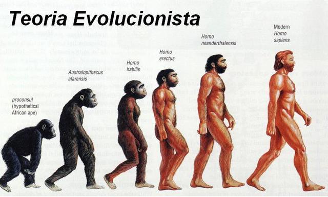 Criação da teoria da Evolução