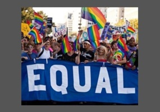 First Gay RIghts Organization