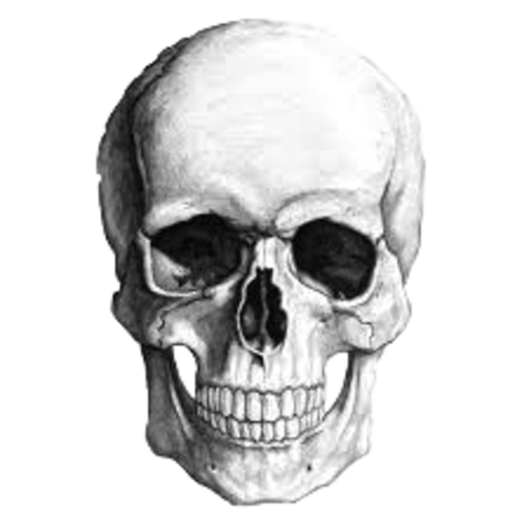 Near Death Experience