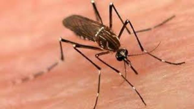 EVOLUCIÓN DE LA ENFERMEDAD