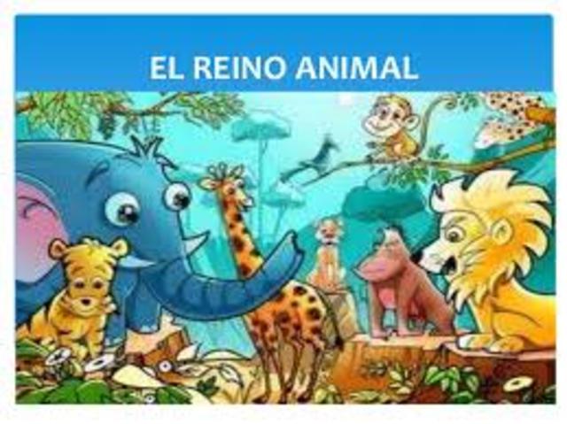 REINO ANIMAL