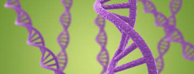 Formación moleculas replicantes