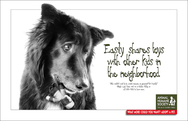 American Humane Society is Formed