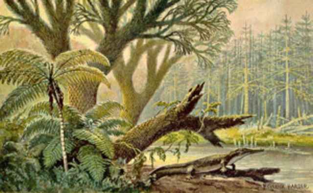 Evolucionan las plantas terrestres