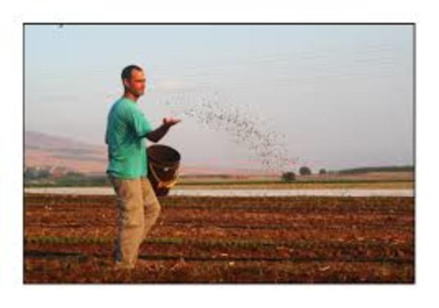 פיזור הזרעים