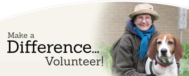 Volunteer at pet shelter work 3 days a week
