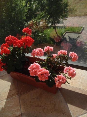 The Third Expedition