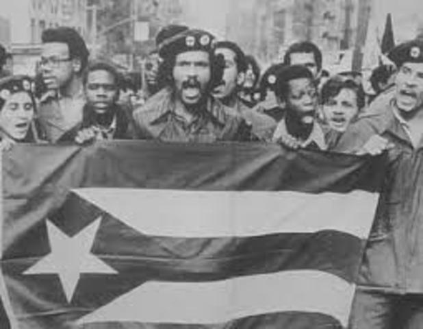 Young Lords Organization