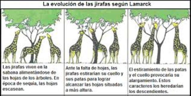Jean-Baptiste de Lamarck. Transformismo