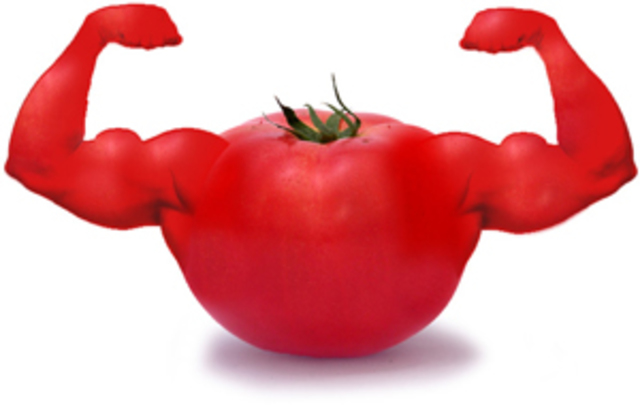 Surge el tomate Flavr Savr