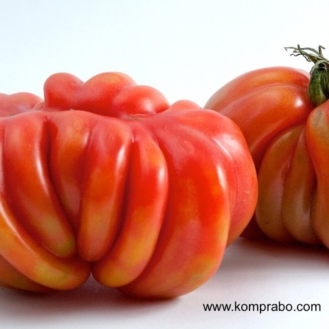 Se retira el Flavr Savr del mercado