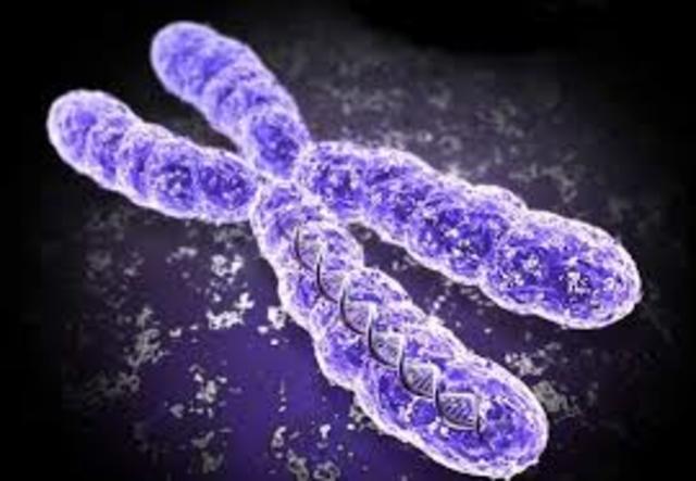 Watson pasa a dirigir la Oficina de Investigación del Genoma Humano