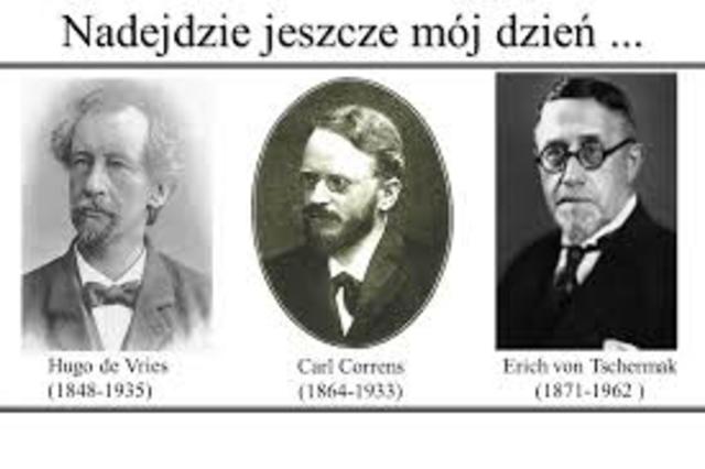 de Vries, Correns y Tschermak. Redescubren leyes de Gregor Mendel