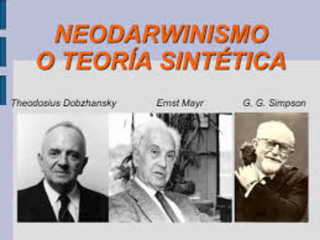 Teoría Sintética de la Evolución o Neo-darwinismo