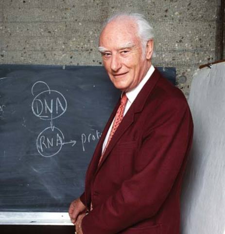 Francis Crick Estudios